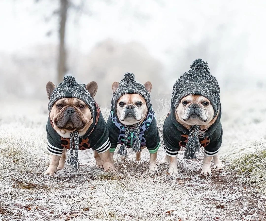 Warm & Stylish Winter Pet Hat