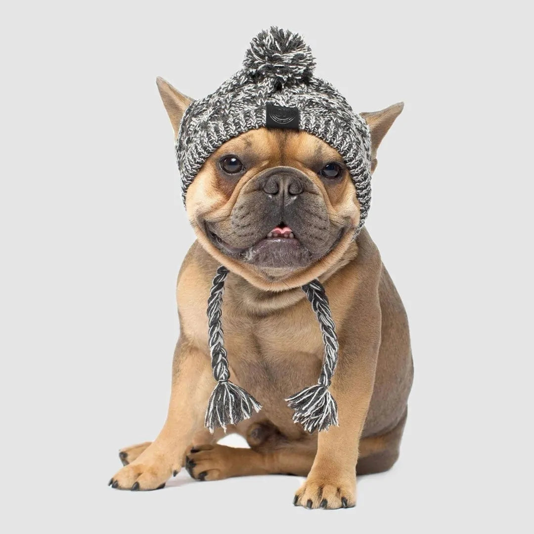 Warm & Stylish Winter Pet Hat