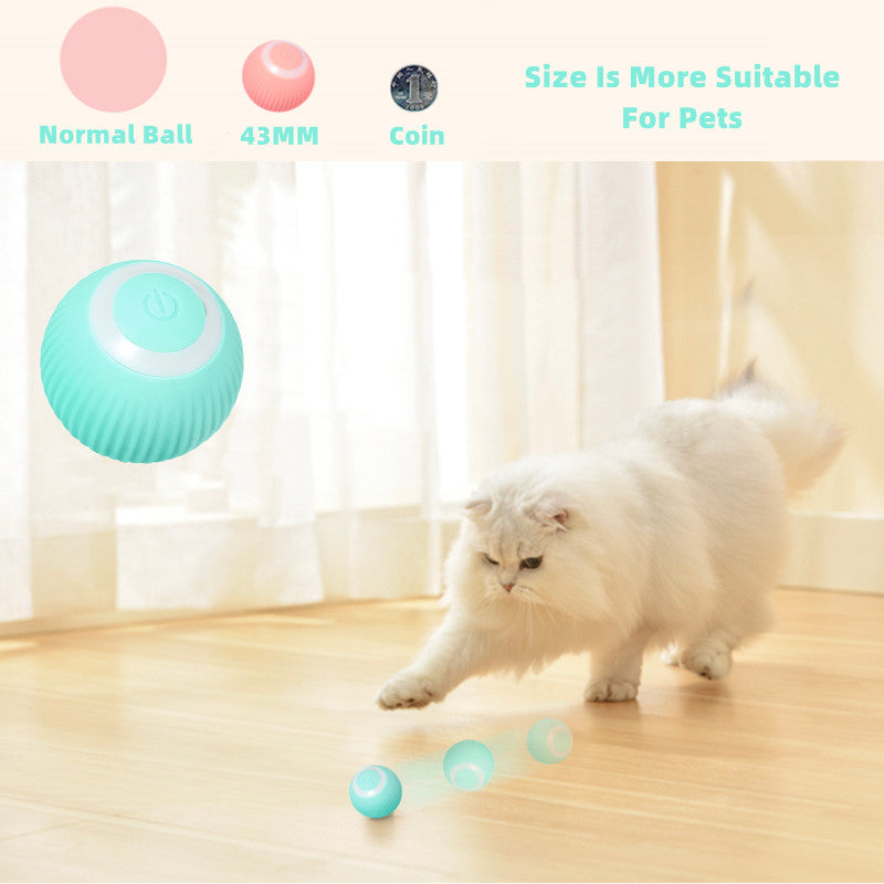 Smart Cat Ball Toys for Engaged Playtime