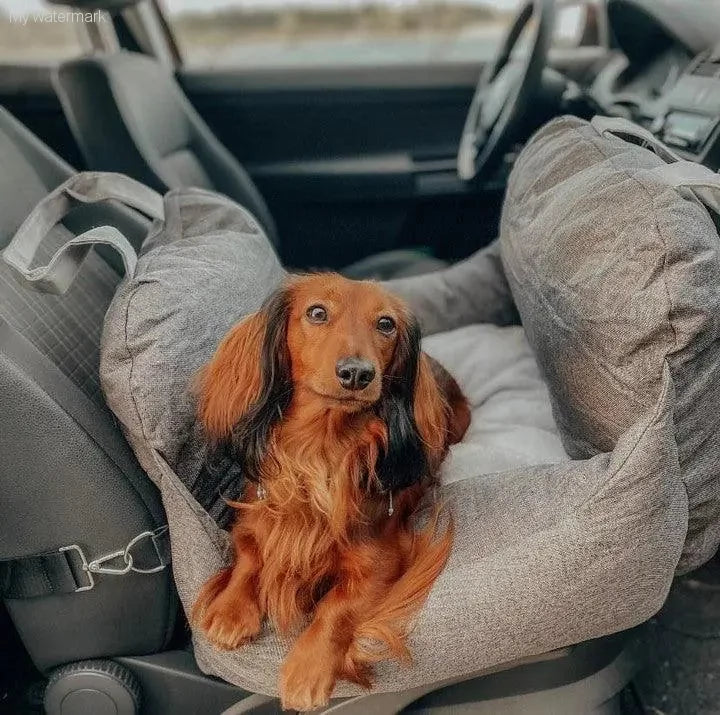  Comfortable & Portable Pet Bed for Travel 