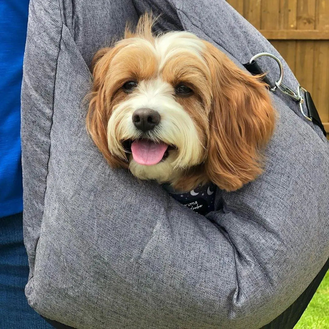  Comfortable & Portable Pet Bed for Travel 