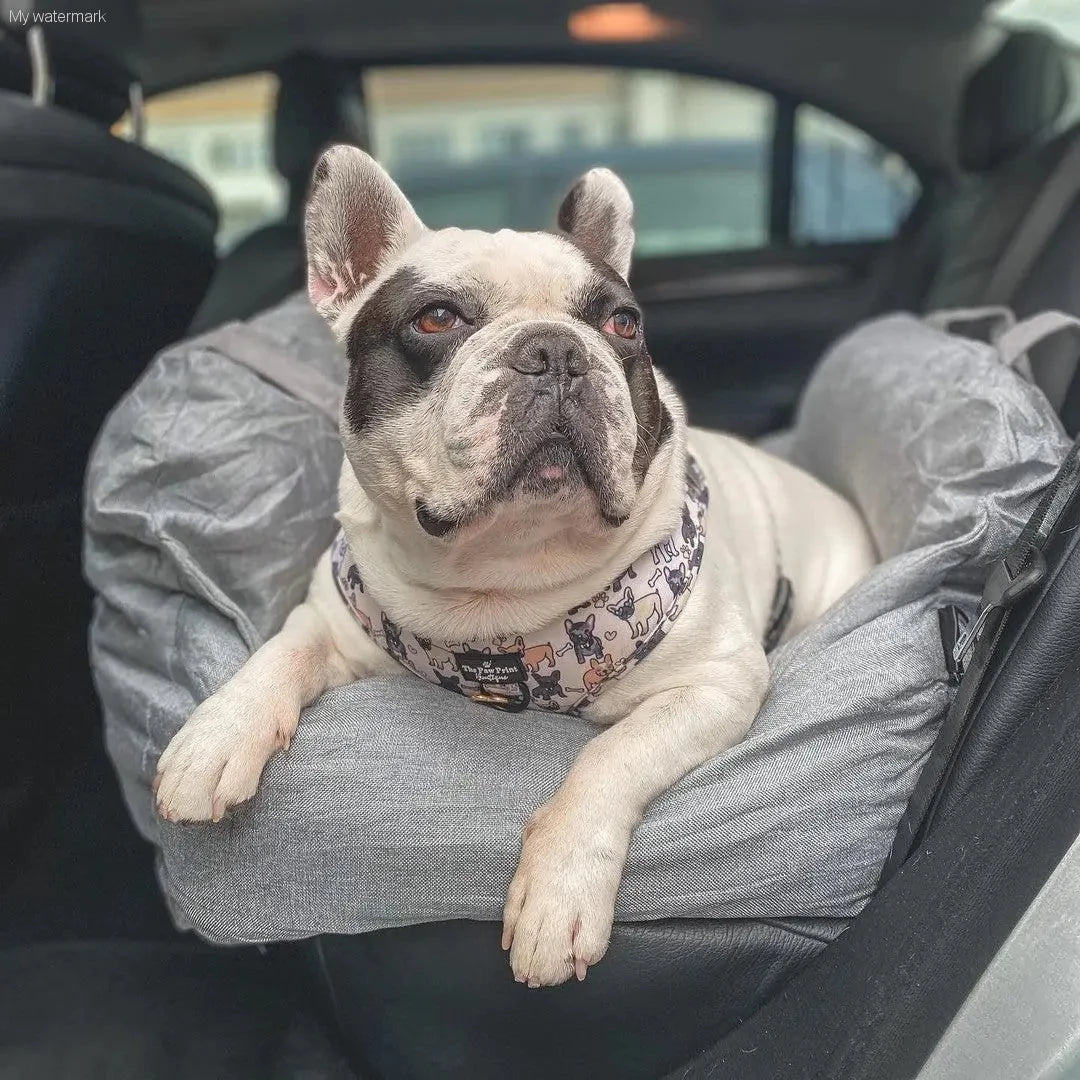  Comfortable & Portable Pet Bed for Travel 