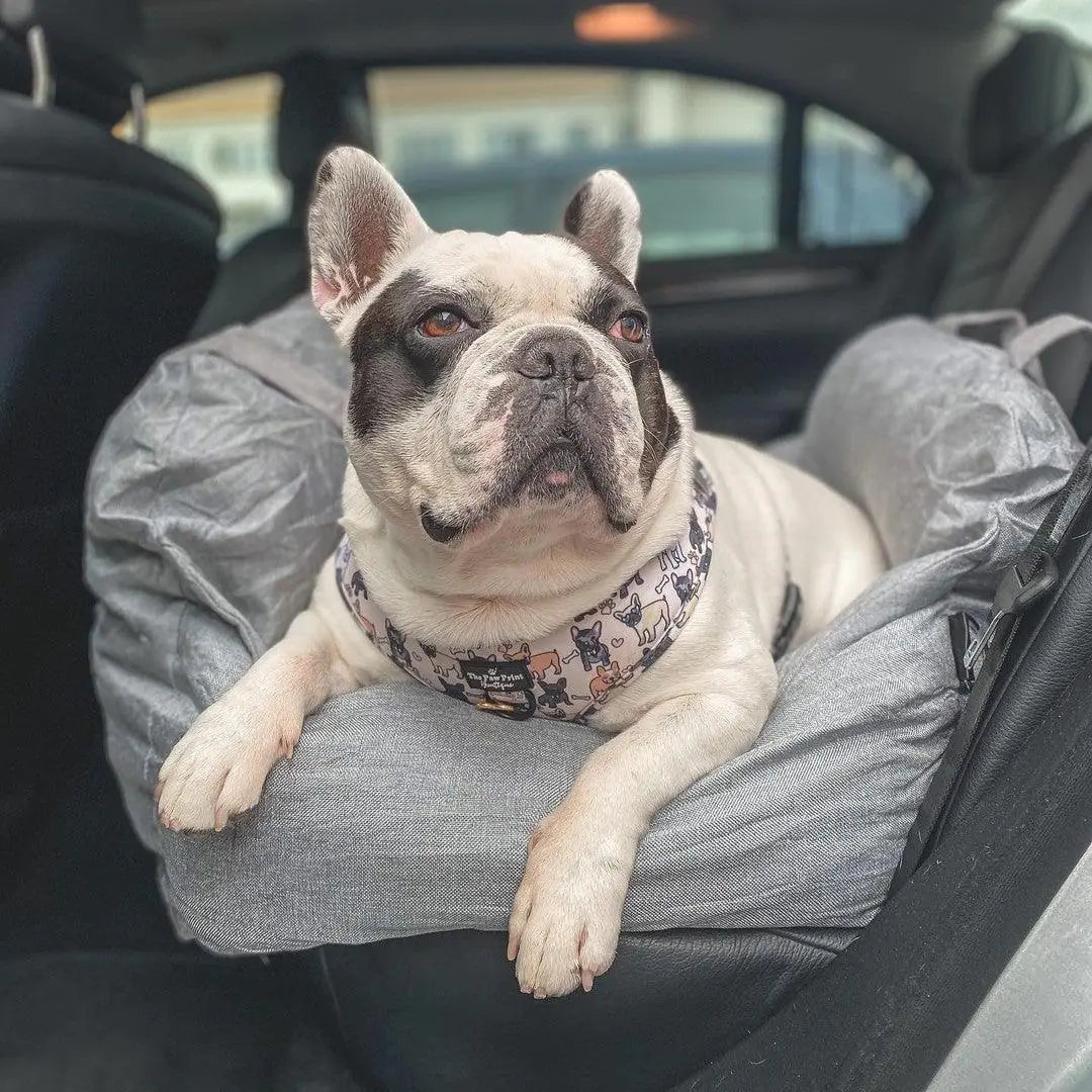  Comfortable & Portable Pet Bed for Travel 