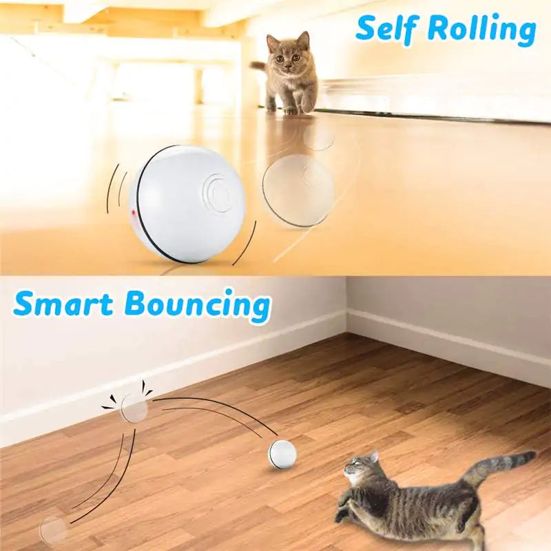 Smart Interactive Pet Bal