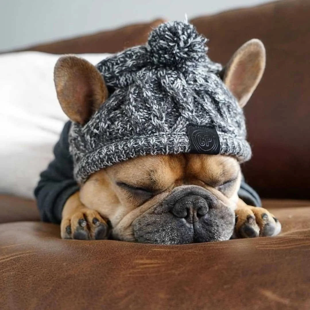 Warm & Stylish Winter Pet Hat