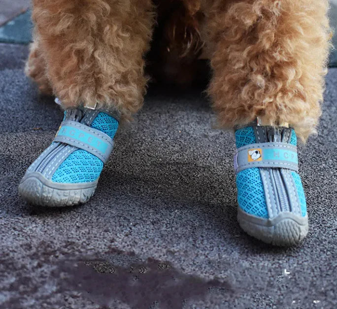 Pet Shoes for Comfort & Style 