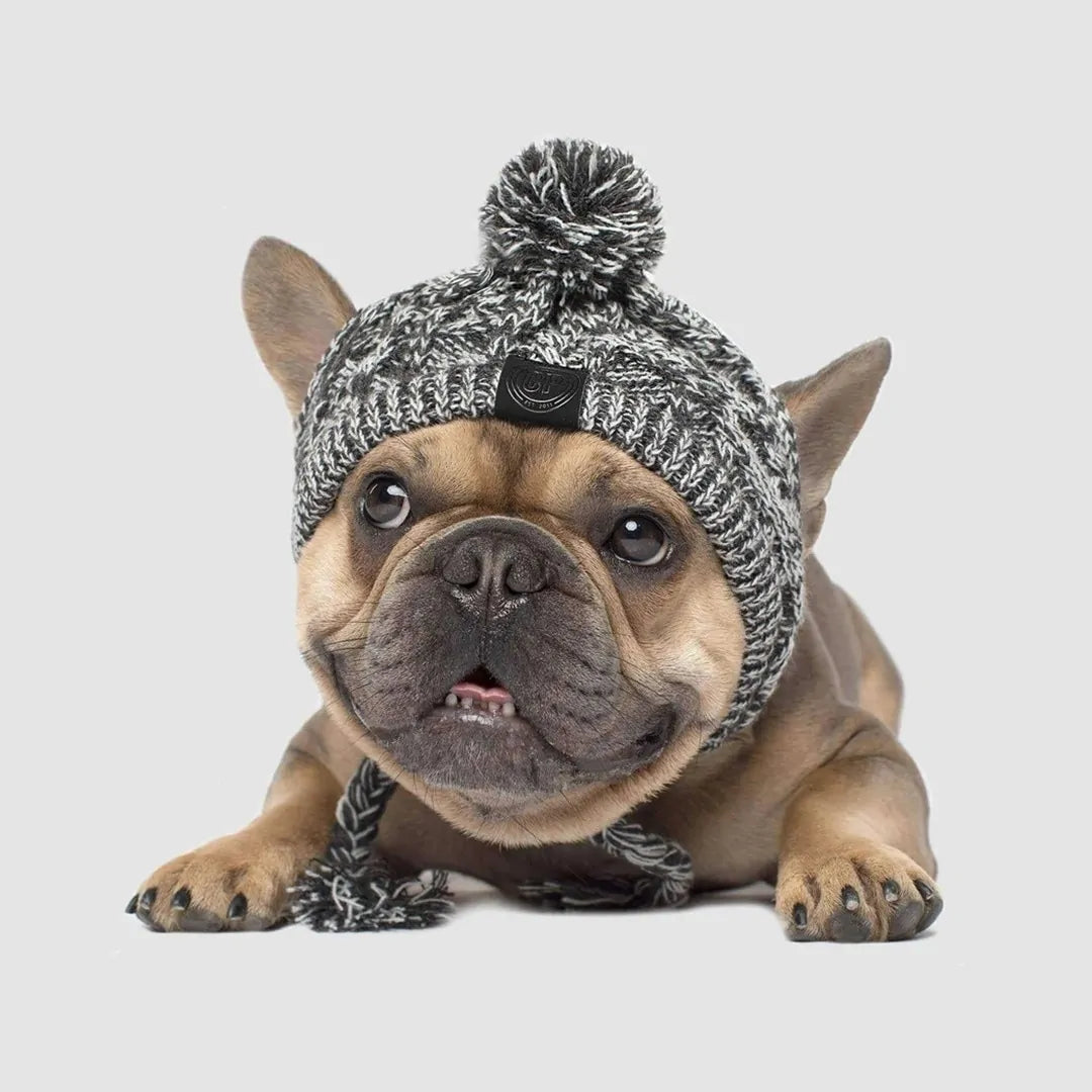 Warm & Stylish Winter Pet Hat