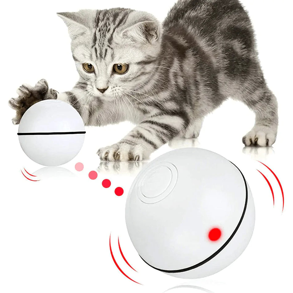 Smart Interactive Pet Bal